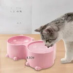 Elevated Cat Feeding Bowls