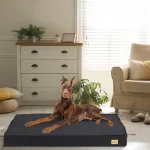 Orthopedic Dog Bed