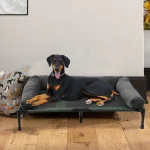 Elevated Dog Bed